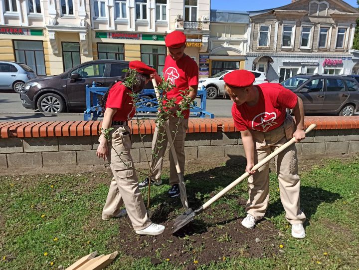 В Чистополе посадили яблоневый сад