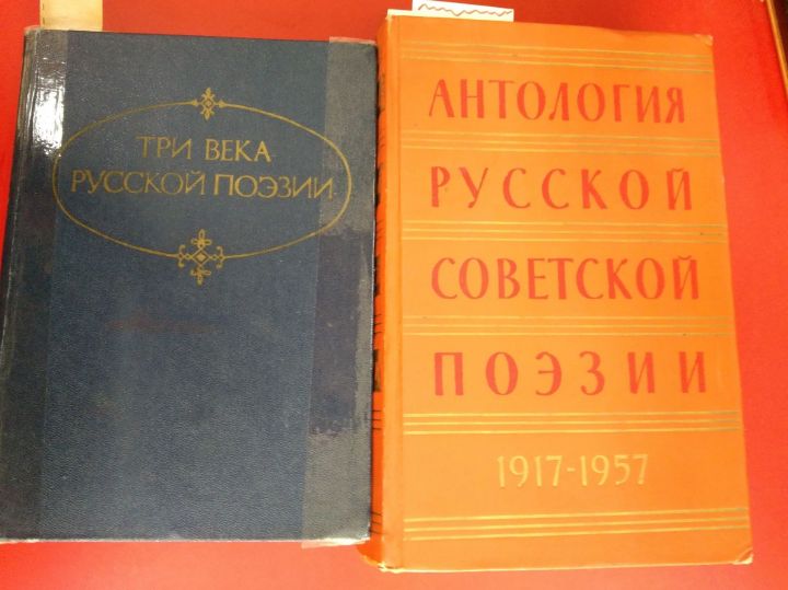 В чистопольской  библиотеке прошел литературно – музыкальный вечер «Птицы пели над дубравой»