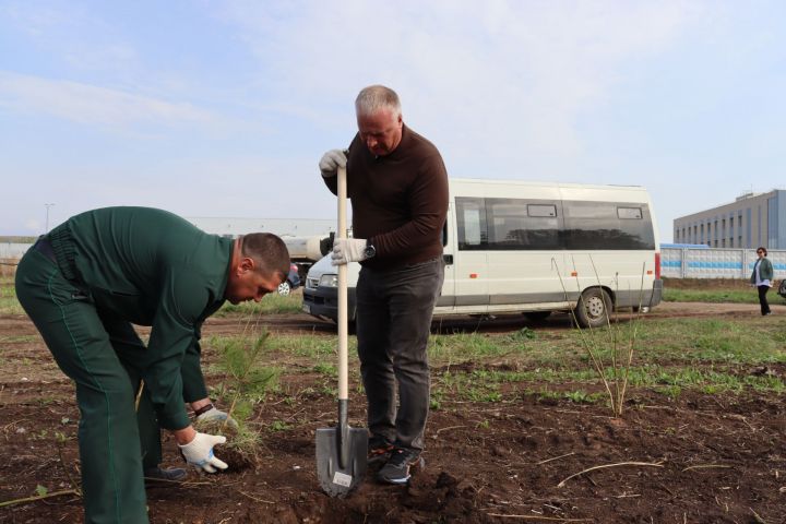 Глава Чистопольского района Дмитрий Иванов принял участие в акции «Сад памяти»