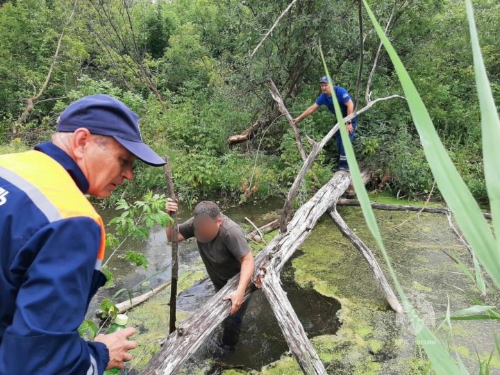 В Чистополе спасли заблудившегося в лесу мужчину