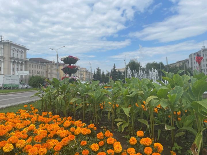 До 32 градусов тепла ожидается в Чистополе