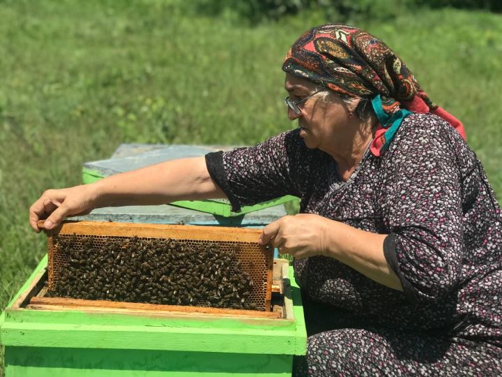 Пчеловодство – ее любимое дело: знакомьтесь с очередной участницей нашего фотоконкурса