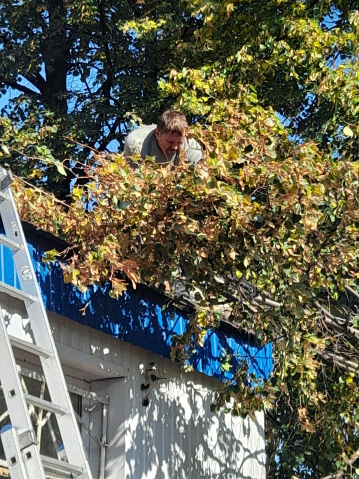 В Чистополе на территории монумента Победы и памятного якоря провели субботник