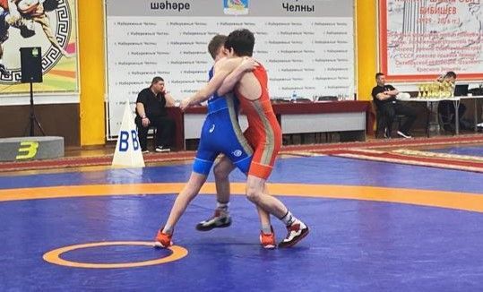 Чистопольский борец стал чемпионом первенства республики