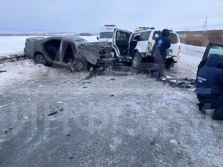 Шесть человек пострадали в ДТП недалеко от Чистополя