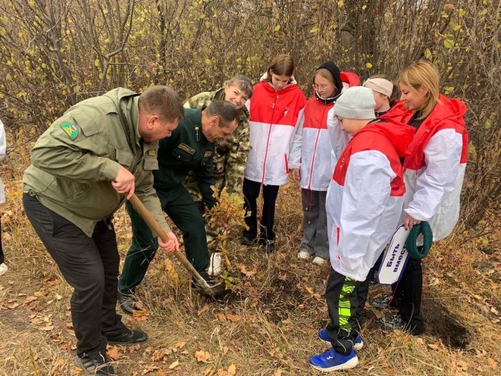 В Чистопольском районе установили кормушки для диких животных