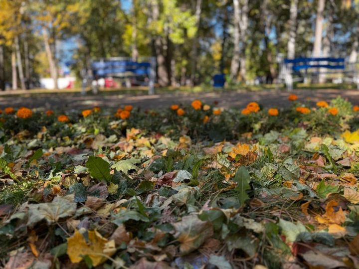 До 10 градусов тепла ожидается в Чистополе