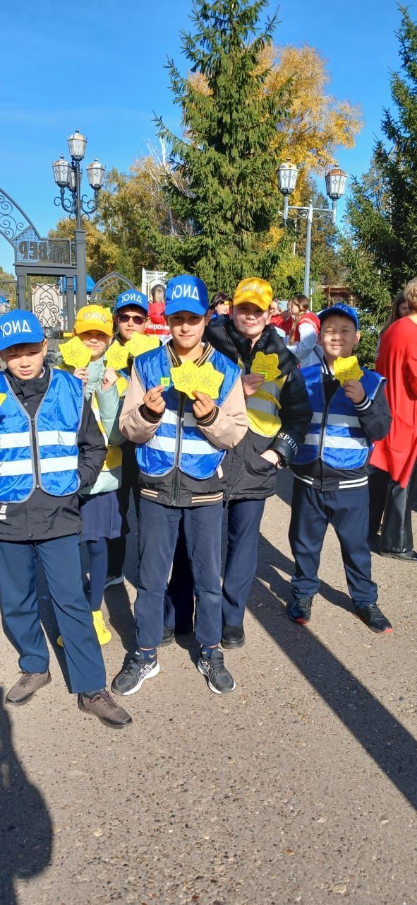 В Чистополе прошла акция «Пожилой пешеход»