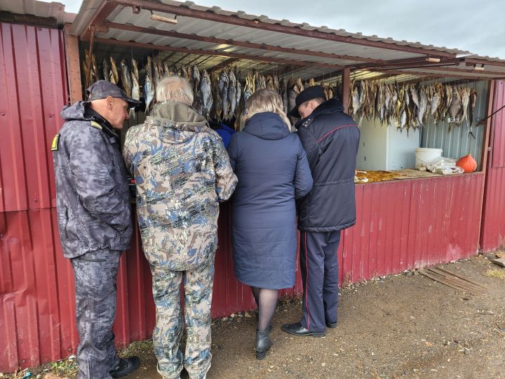 Чистай районында балык продукциясен сату нокталарының берсен тикшерделәр