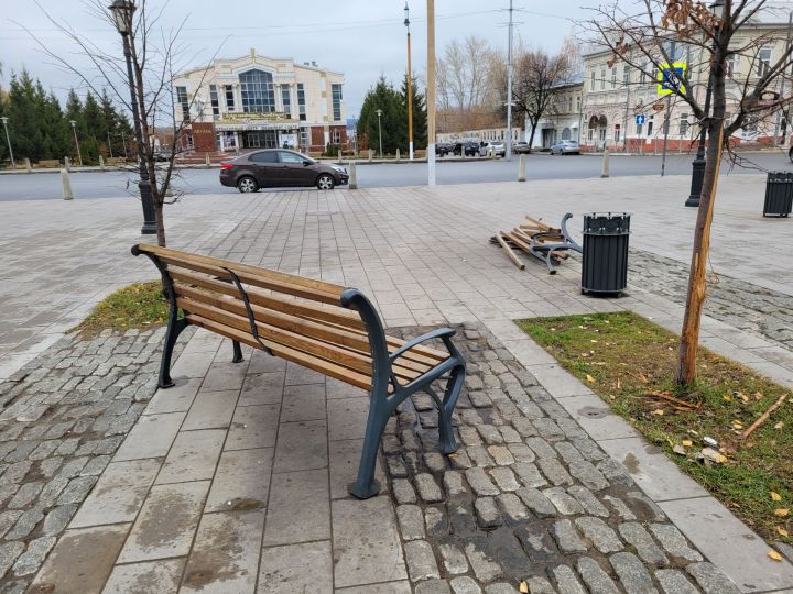 В Чистополе вандалы сломали скамейки и повредили деревья