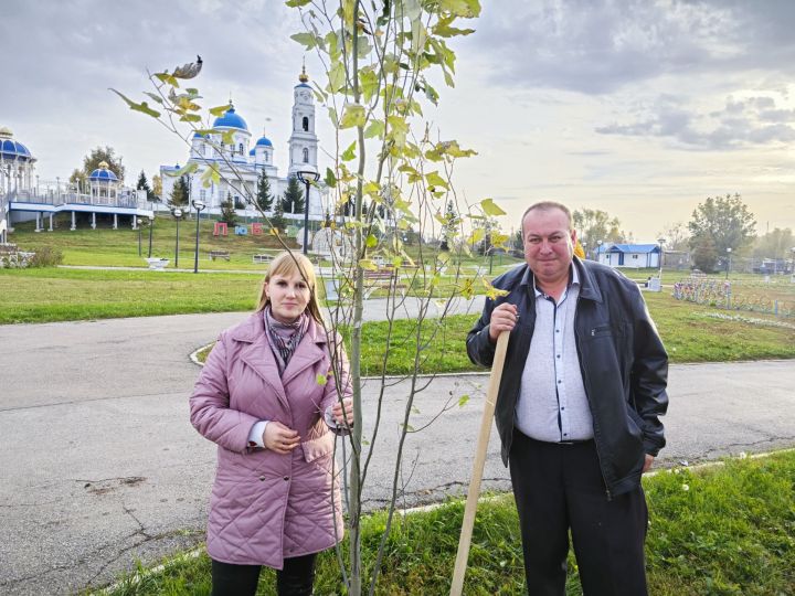 В парке на набережной Чистополя депутат Госдумы Олег Морозов и глава района Дмитрий Иванов посадили пирамидальные тополя