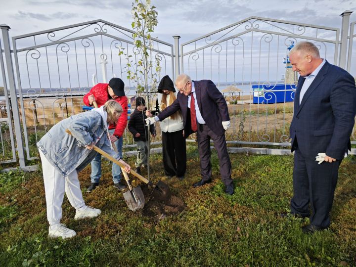 В парке на набережной Чистополя депутат Госдумы Олег Морозов и глава района Дмитрий Иванов посадили пирамидальные тополя