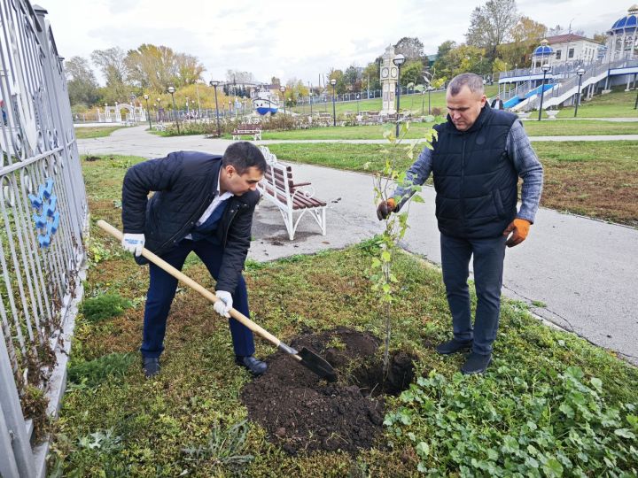 В парке на набережной Чистополя депутат Госдумы Олег Морозов и глава района Дмитрий Иванов посадили пирамидальные тополя