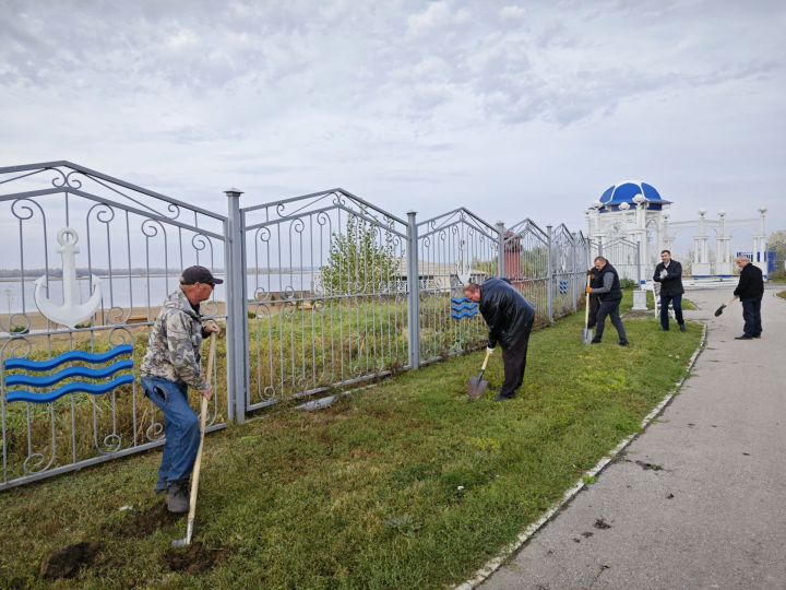 В парке на набережной Чистополя депутат Госдумы Олег Морозов и глава района Дмитрий Иванов посадили пирамидальные тополя