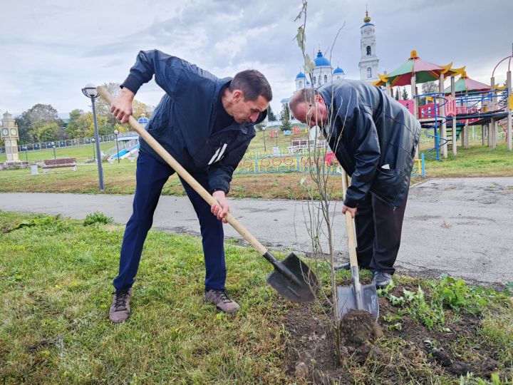 В парке на набережной Чистополя депутат Госдумы Олег Морозов и глава района Дмитрий Иванов посадили пирамидальные тополя