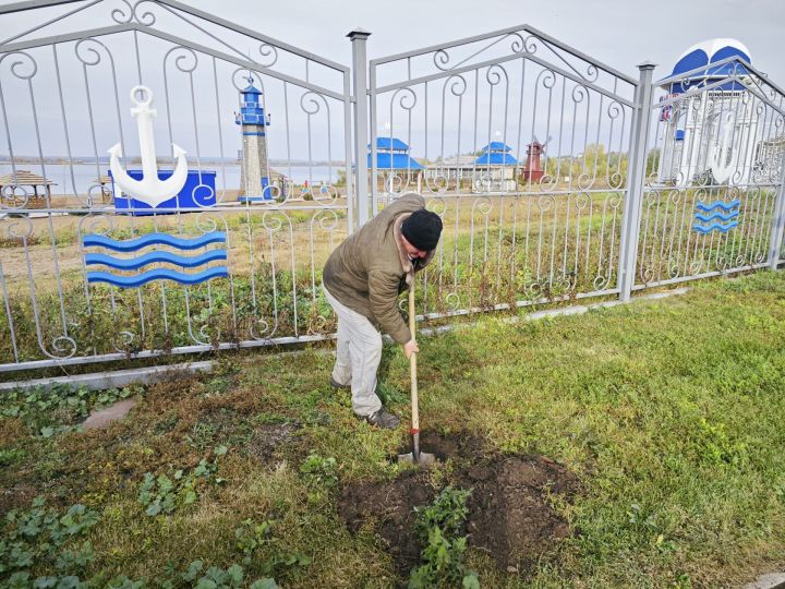 В парке на набережной Чистополя депутат Госдумы Олег Морозов и глава района Дмитрий Иванов посадили пирамидальные тополя