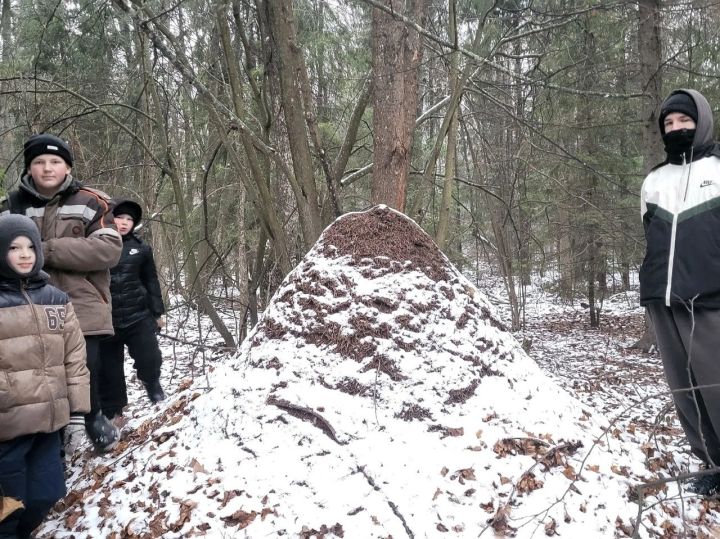 Для ребят кружка «Юный сварщик — добрых дел кузнец» организовали поход на природу