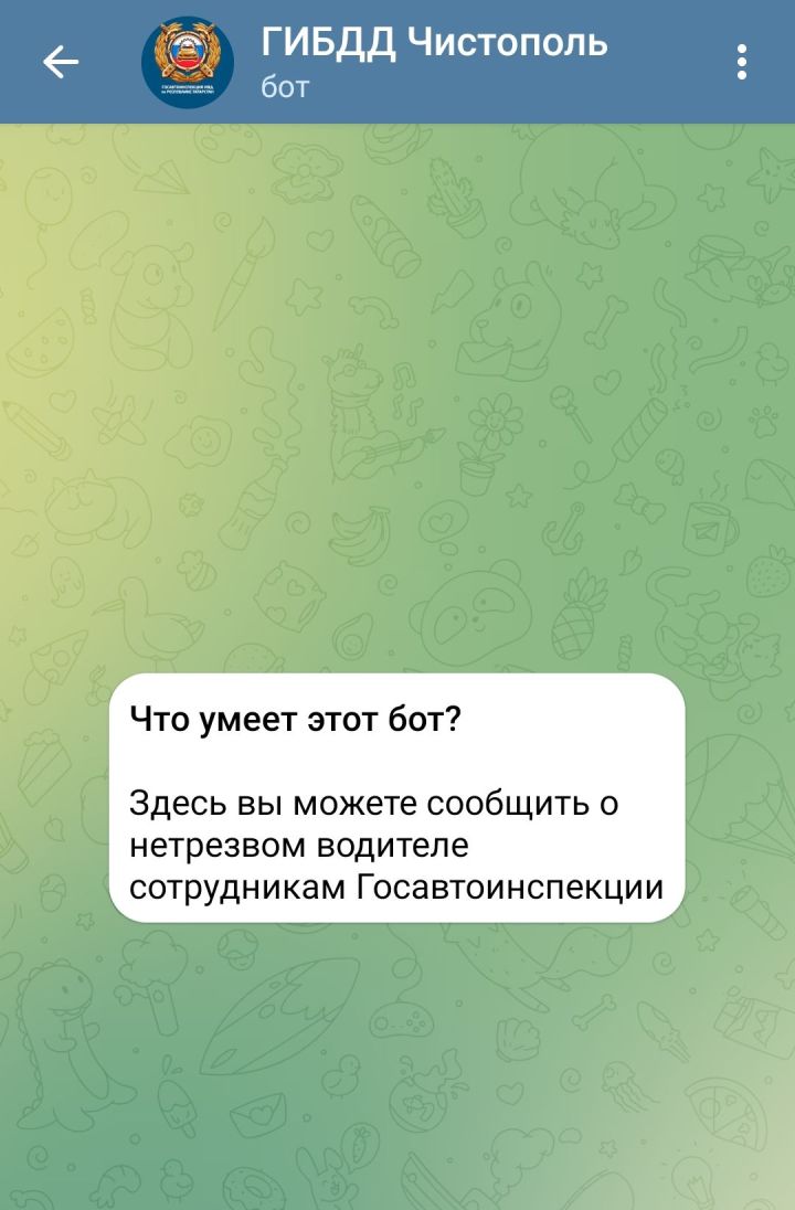 Чистопольцев призвали сообщать о пьяных водителях в Госавтоинспекцию