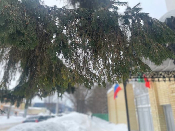 В Чистополе ожидается ветер и мокрый снег