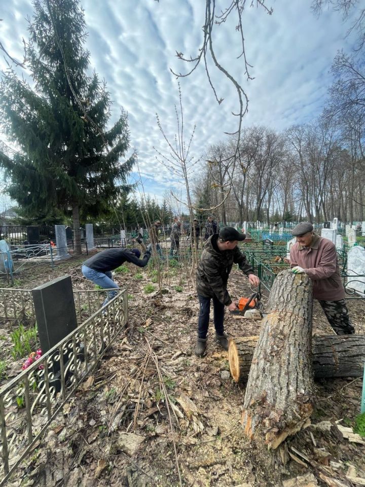 Более 2 тысяч чистопольцев приняли участие в общегородском субботнике