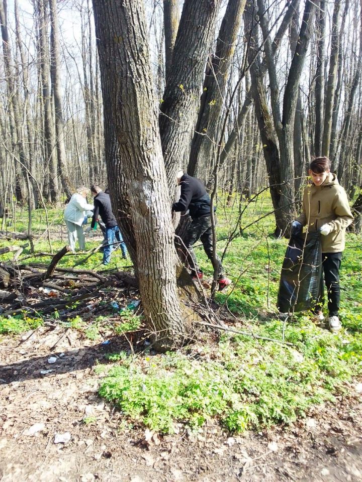 Чистопольцы участвовали в природоохранной акции «Чистые леса»