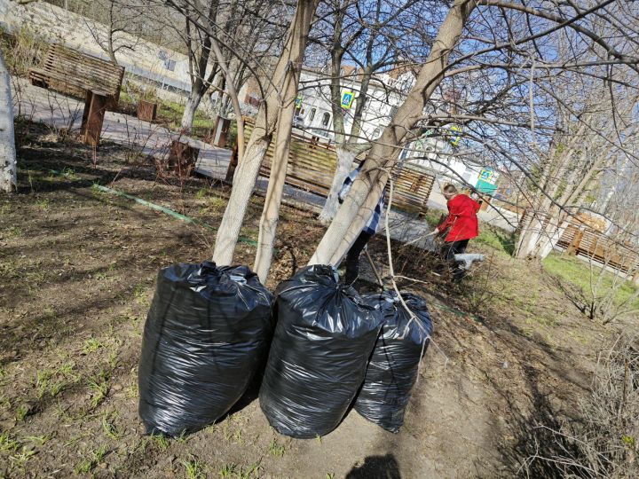 Более 2 тысяч чистопольцев приняли участие в общегородском субботнике