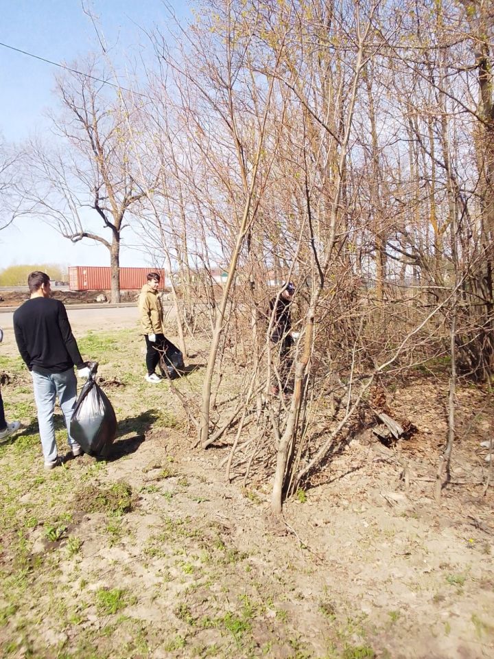 Чистопольцы участвовали в природоохранной акции «Чистые леса»