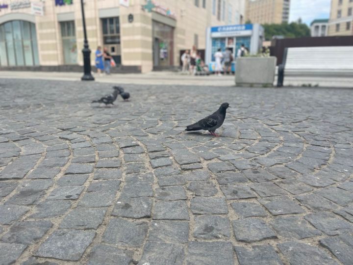 В Татарстане похолодает до трех градусов тепла