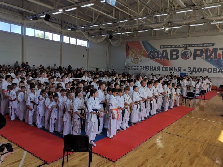 Четыре чистопольских спортсмена привезли медали разных достоинств с Межрегиональных соревнований по киокусинкай карате