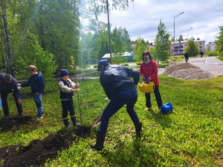 В Чистополе разбили яблоневый сад