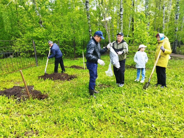 В Чистополе разбили яблоневый сад