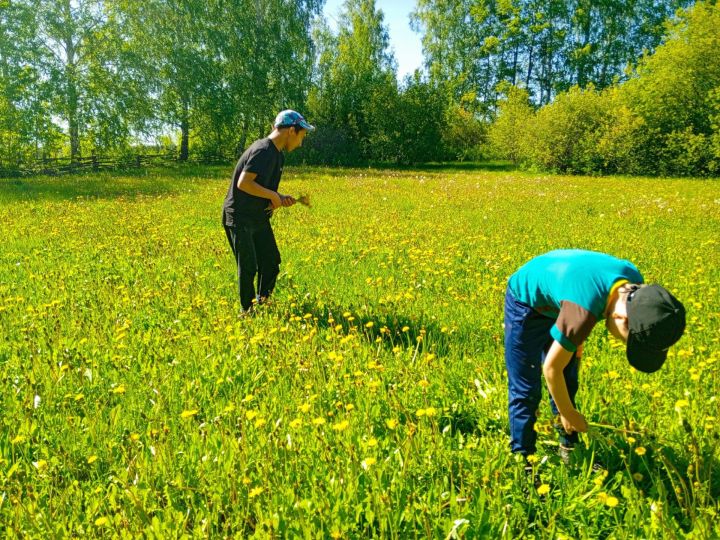 Для детей чистопольского села провели час познавательного чтения на природе