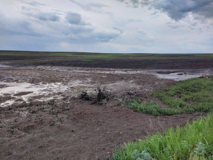 В Бугульминском районе затопило село