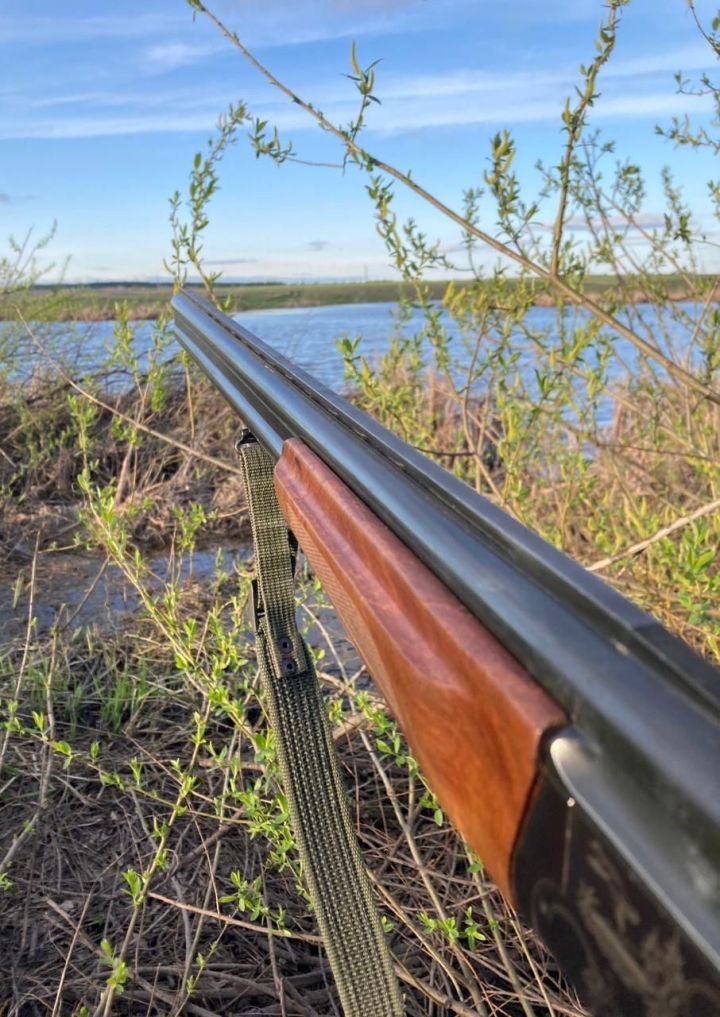 В Менделеевском районе во время незаконной охоты погиб мужчина