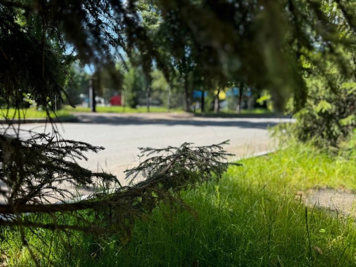 В Чистополе ожидается до 27 градусов жары